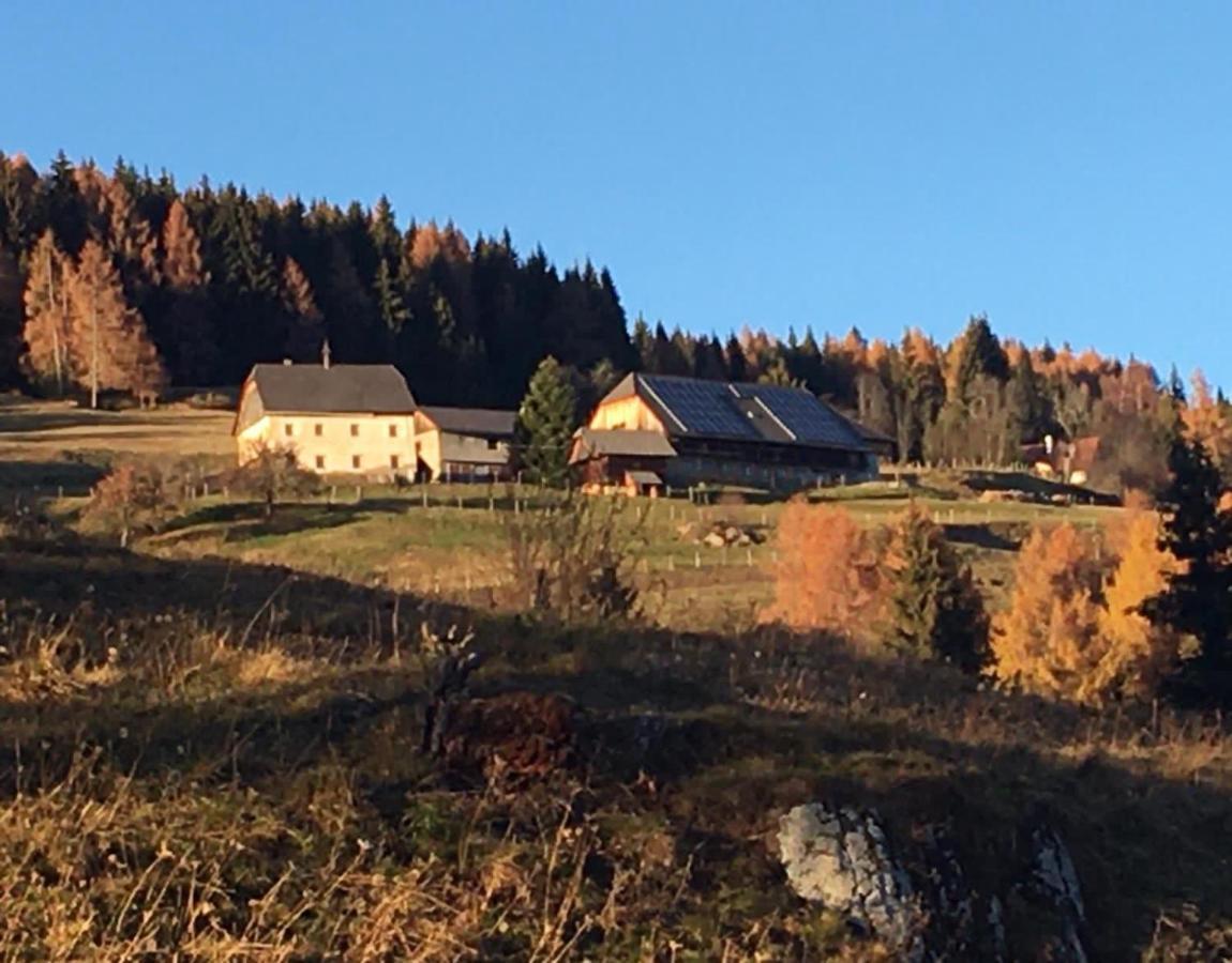 Zum Wohle Aparthotel Oberwoelz Stadt Luaran gambar